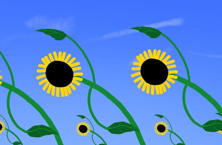 Σπάσε το καλούπι