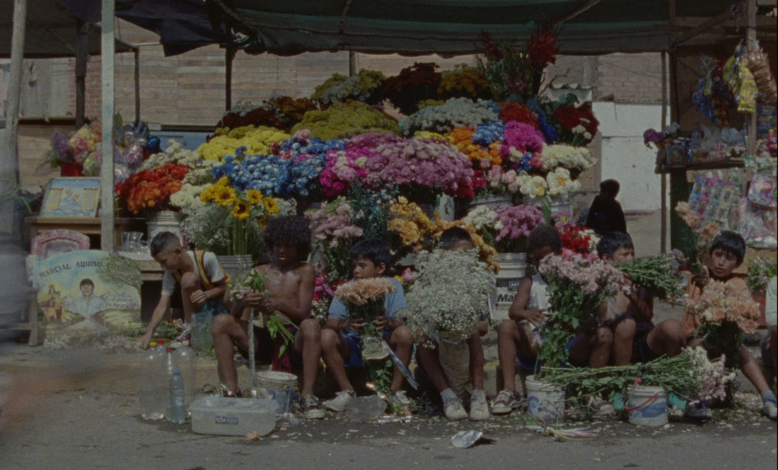 nobody knows the world_still6